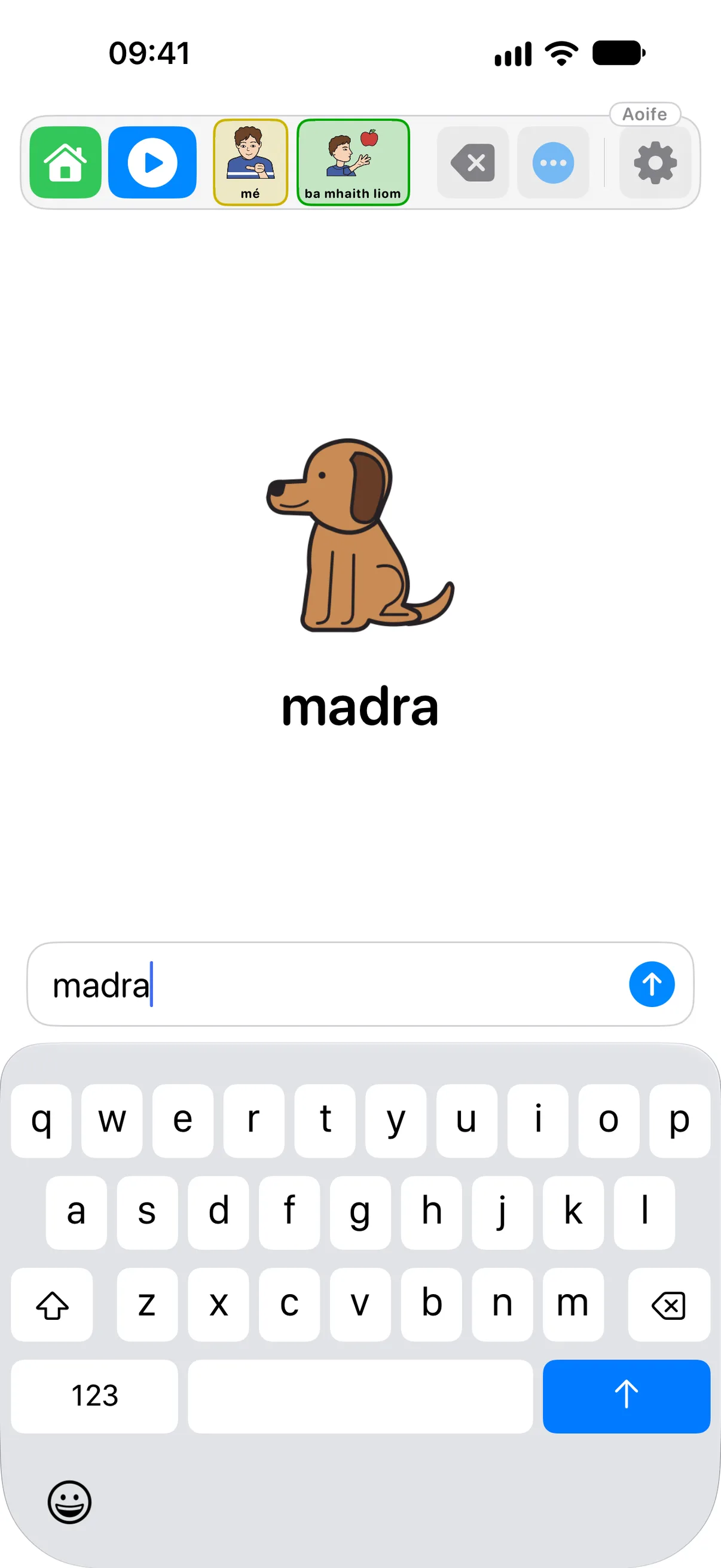 The Type Button